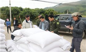 Lục Ngạn (Bắc Giang): Cấp phát gạo hỗ trợ cho người dân trồng rừng thay thế nương rẫy