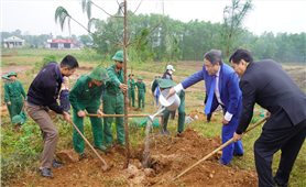 Thông điệp từ “Tết trồng cây” ở Quảng Trị