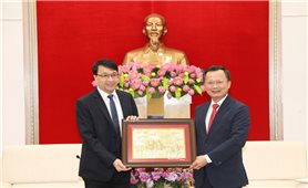Quyền Chủ tịch UBND tỉnh Quảng Ninh tiếp xã giao nhà đầu tư
