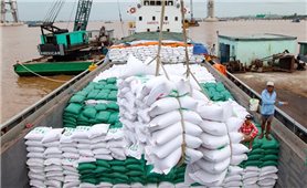 Xuất khẩu gạo 2 tháng đầu năm đạt 528,5 USD