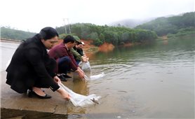 Quảng Ninh: Các địa phương đồng loạt thả con giống thủy sản