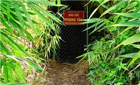 Đắk Nông: Phát hiện 3 người chết trong hầm khai thác vàng bỏ hoang