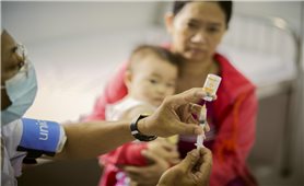 Bộ Y tế yêu cầu làm rõ trách nhiệm về việc tiêm vắc xin hết hạn cho trẻ em tại Thanh Hóa