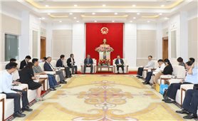 Quyền Chủ tịch UBND tỉnh Quảng Ninh tiếp nhà đầu tư Nhật Bản