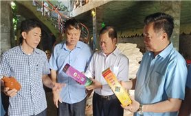 Quảng Ninh: Chủ cơ sở sản xuất rượu mơ đạt danh hiệu “Nông dân Việt Nam xuất sắc” năm 2023