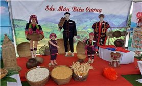 Đặc sắc Ngày hội Văn hoá, thể thao các dân tộc huyện vùng cao Hải Hà