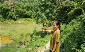 Lào Cai: Doanh nghiệp khai thác mỏ tại xã Thái Niên thiếu trách nhiệm, dân khổ trăm bề