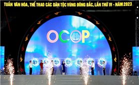 Quảng Ninh: Sôi động Hội chợ OCOP kết hợp thương mại tại huyện vùng cao