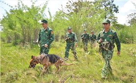 Đắk Lắk: Tăng cường bảo vệ biên giới trong dịp lễ Quốc khánh