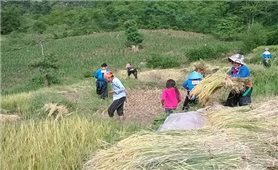 Hơn 20.000 hộ dân tại vùng núi Thanh Hóa thiếu đất sản xuất và đất ở