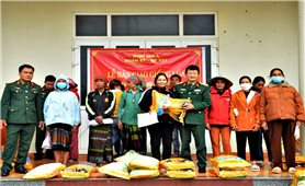 Quảng Trị: Hỗ trợ cây, con giống và phân bón cho 767 hộ dân vùng cao