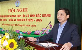 Bắc Giang: Phấn đấu thành lập thêm ít nhất 50 hợp tác xã