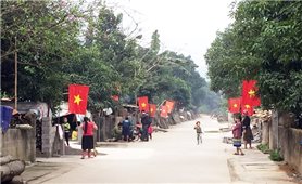 Ấm no bản tái định cư người Mông ở Tuyên Quang