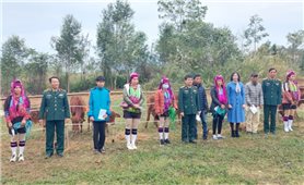 Quảng Ninh: Tặng bò giống cho đồng bào DTTS có hoàn cảnh khó khăn