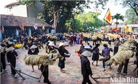 Lễ hội trâu rơm, bò rạ đặc trưng của cư dân lúa nước