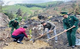 Quảng Ninh: Năm 2023, phấn đấu trồng 2.000 ha cây có giá trị kinh tế cao