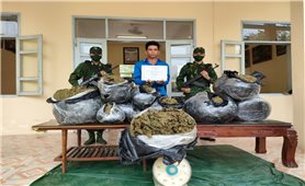 An Giang: Nghi phạm thứ 2 trong vụ vận chuyển gần 57 kg cần sa từ Campuchia về Việt Nam đã ra đầu thú