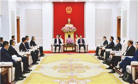 Lãnh đạo tỉnh Quảng Ninh tiếp xã giao Tập đoàn TCL
