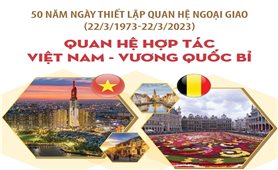 Quan hệ hợp tác Việt Nam - Vương quốc Bỉ
