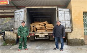 Thừa Thiên Huế: Phát hiện xe tải chở 19 phách gỗ trái phép