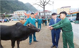 Hà Giang: Huyện Mèo Vạc trao bò giống cho quân nhân hoàn thành xuất sắc nghĩa vụ quân sự