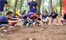 TP. Hồ Chí Minh: Thực hiện rà soát, chấn chỉnh hoạt động giáo dục ngoài giờ chính khóa