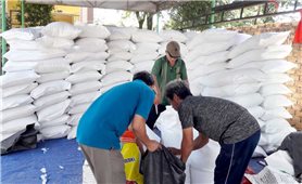 Bình Phước: Xuất cấp hơn 115 tấn gạo hỗ trợ học sinh các xã đặc biệt khó khăn