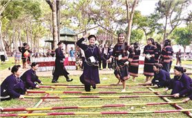 Tưng bừng Ngày hội văn hóa các dân tộc trên cao nguyên Gia Lai