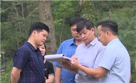 Ban Dân tộc tỉnh Cao Bằng kiểm tra công tác triển khai thực hiện Chương trình MTQG 1719