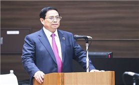 Thủ tướng kêu gọi doanh nghiệp Nhật Bản tăng cường đầu tư trong các lĩnh vực mới nổi