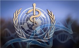 WHO ra mắt mạng lưới toàn cầu ứng phó bệnh truyền nhiễm