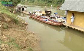 Đê tả sông Bưởi ở Thanh Hóa sạt lở nghiêm trọng