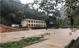 Các huyện miền núi Nghệ An thiệt hại nặng nề do mưa lũ