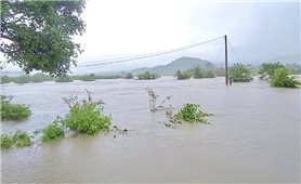 Mưa lớn gây nhiều thiệt hại tại Gia Lai