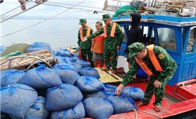 Quảng Ninh: Bắt giữ 7 tàu khai thác thủy sản trái phép
