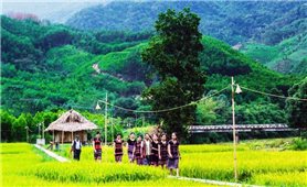 Thừa Thiên Huế: Sơ kết 3 năm thực hiện Chương trình MTQG 1719