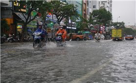 Quảng Nam: Khẩn trương rà soát, sơ tán dân ứng phó nguy cơ lũ quét, sạt lở và sụt lún đất