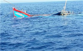 Thủ tướng chỉ đạo tổ chức tìm kiếm, cứu nạn các ngư dân 2 tàu cá bị chìm ở khu vực đảo Song Tử Tây