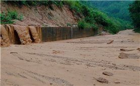 Bình Định: Các huyện miền núi chủ động ứng phó nguy cơ sạt lở đất