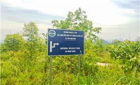 Ninh Bình: Dự án Công viên động vật hoang dã 10 năm xây dựng vẫn dở dang!
