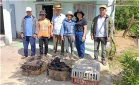 Trà Bồng (Quảng Ngãi): Phân công 64 cơ quan, đơn vị giúp 33 hộ nghèo