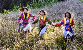 Hà Giang: Chuẩn bị sẵn sàng cho Lễ hội hoa Tam giác mạch lần thứ IX