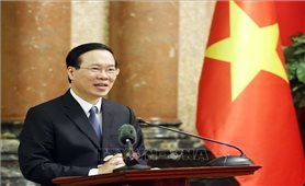 Chủ tịch nước phê chuẩn Hiệp định Tương trợ tư pháp về hình sự giữa Việt Nam và Séc