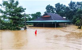 Lũ lụt ở Quỳ Châu (Nghệ An) và trách nhiệm của các nhà máy thủy điện