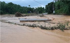Thủ tướng yêu cầu chủ động ứng phó mưa lũ, bảo đảm an toàn cho người dân tại khu vực miền Trung và Tây Nguyên