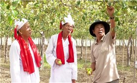 Bình Thuận: Khi vai trò của Người có uy tín, già làng, trưởng bản được phát huy