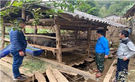 Nhiều gia đình dân tộc Mông ở Mèo Vạc (Hà Giang) xin thoát nghèo
