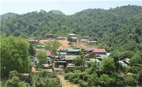 Điện Biên: Quyết tâm giảm nghèo vùng đồng bào DTTS