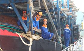 Bình Định: Đưa 39 ngư dân Quảng Ngãi gặp nạn trên biển về đất liền an toàn