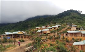 Quảng Nam: Tập trung nguồn lực để xoá nhà tạm cho người nghèo